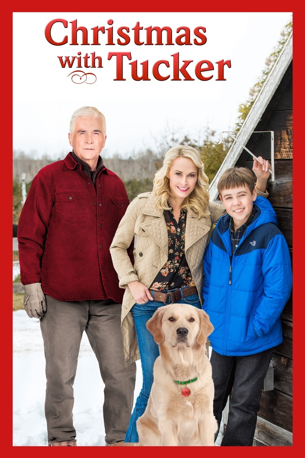 Постер Christmas with Tucker